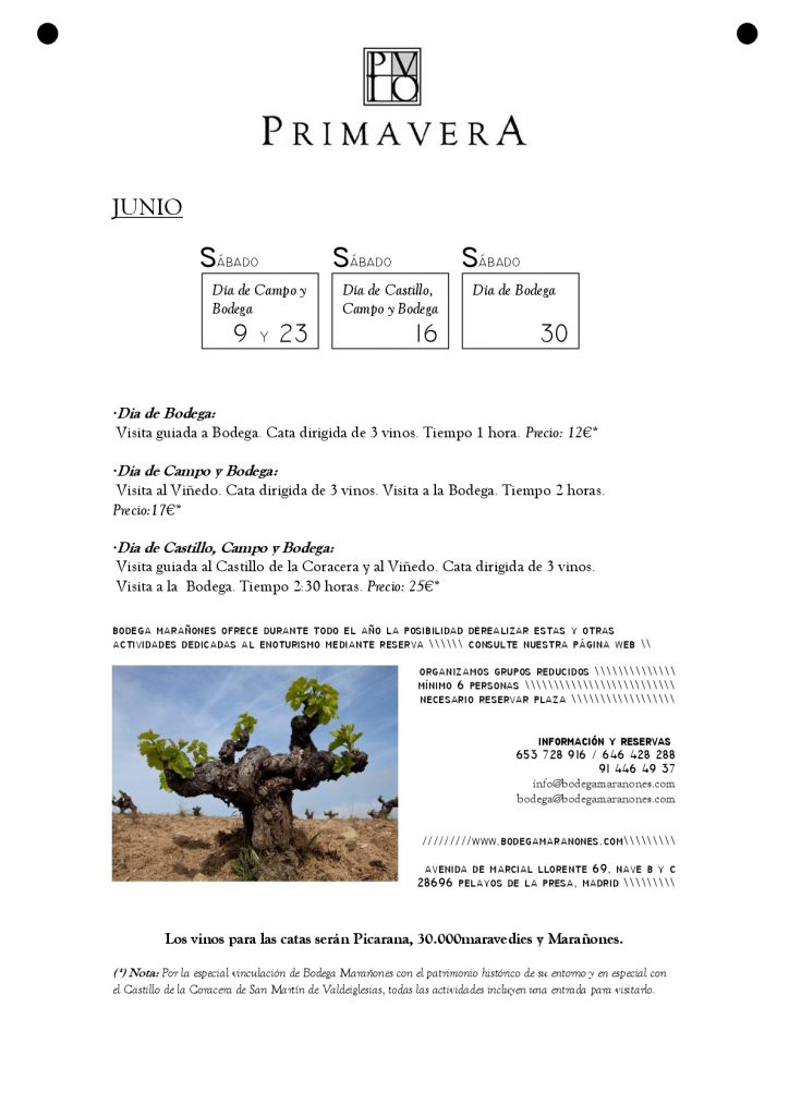 visitas junio bodega marañones