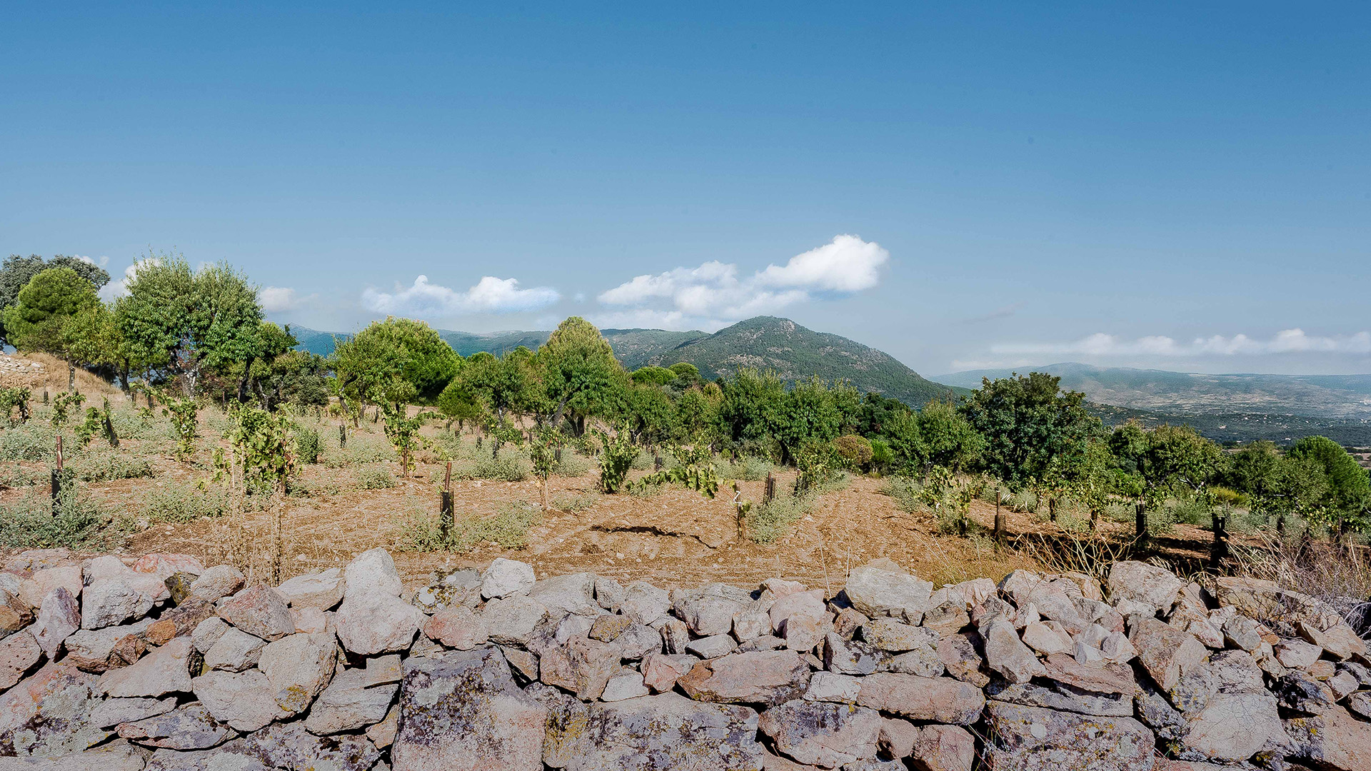 parcela marañones